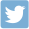 Twitter icon